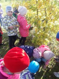 осеннее путешествие3