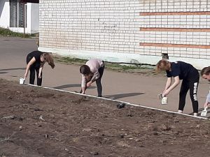 бухта радости4