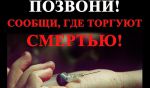 волонтерская акция